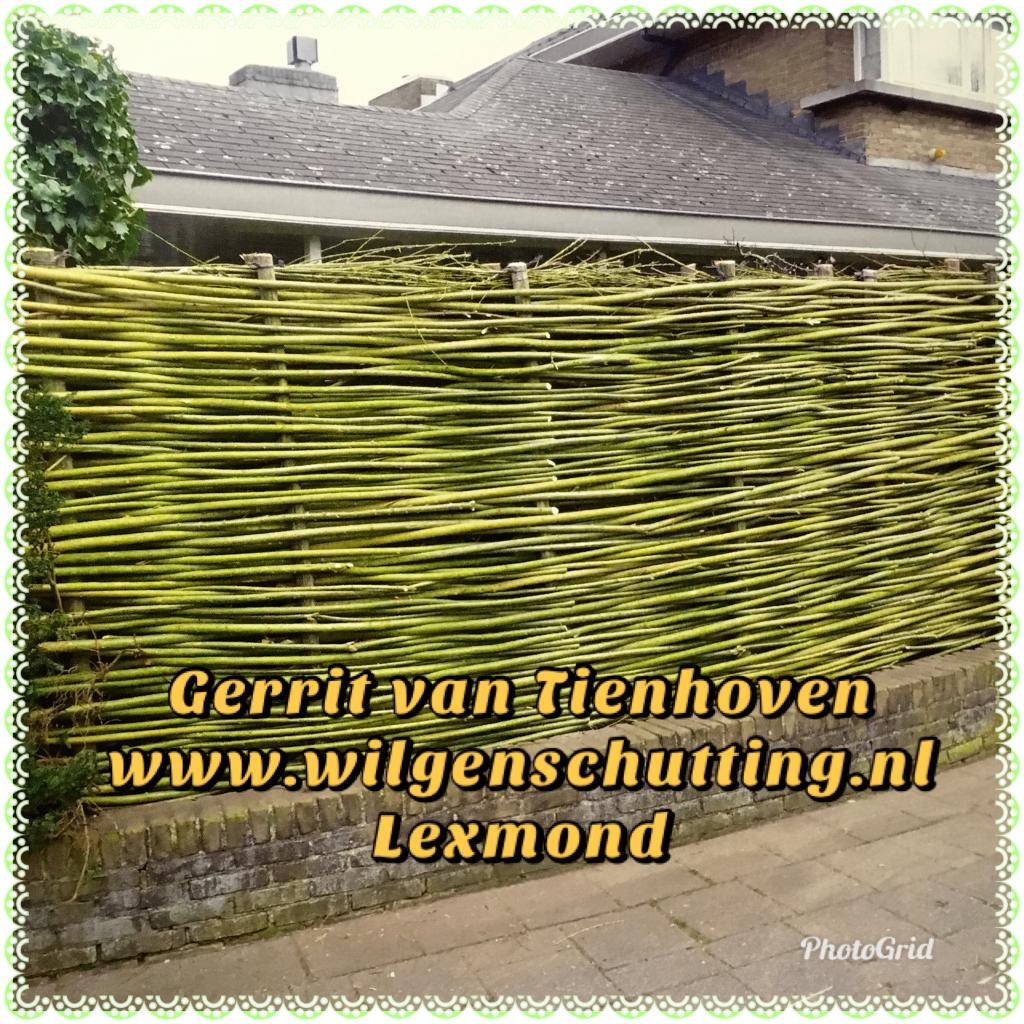 Wilgenschutting, ter plaatse gevlochten., Tuin en Terras, Ophalen of Verzenden, Nieuw, Hout, Tuinhek