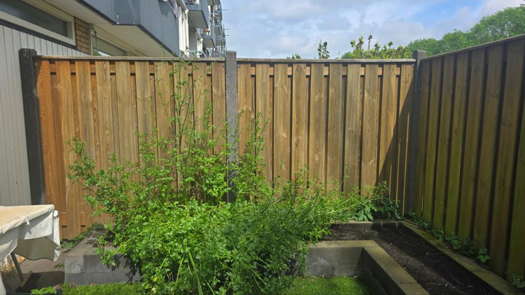 Houten schuttingdelen en palen, Tuin en Terras, Ophalen of Verzenden, Gebruikt, Hout, 1 tot 2 meter