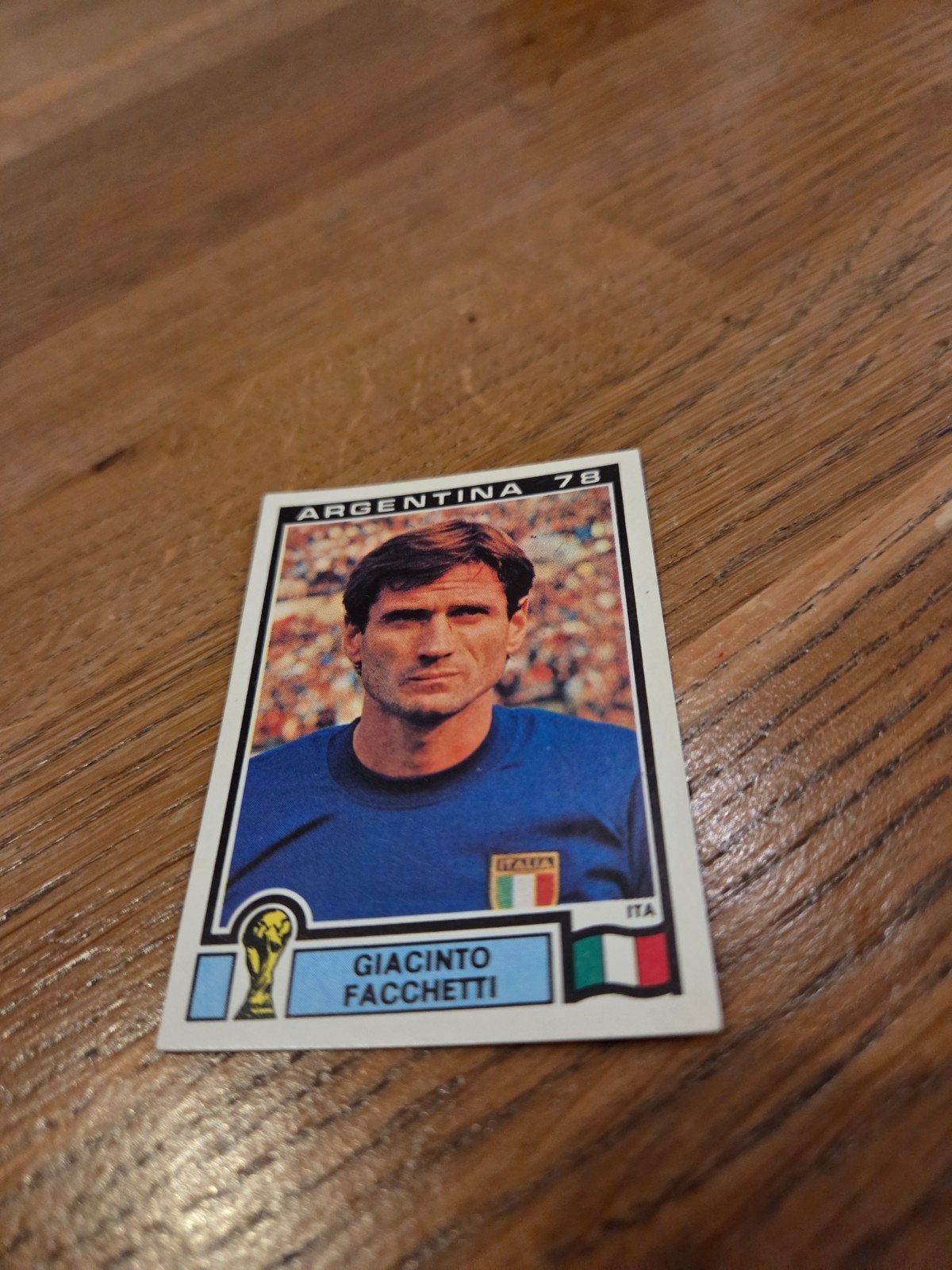 Panini WK 78, Verzamelen, Ophalen of Verzenden, Zo goed als nieuw, Buitenlandse clubs, Poster, Plaatje of Sticker