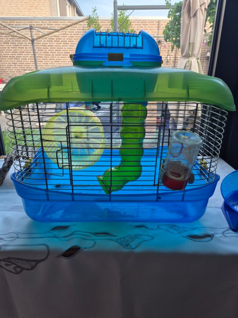 Hamster kooi L40xBr24xH30cm, Kooi, 75 tot 110 cm, Cavia, Ophalen