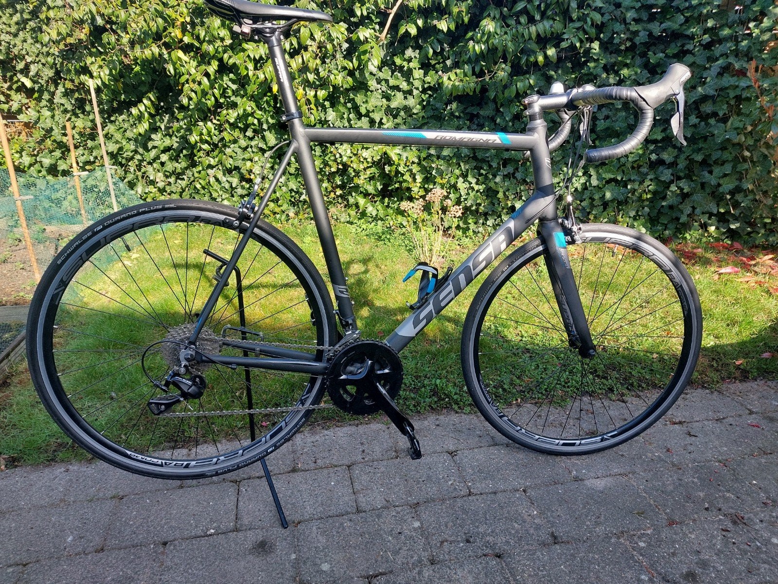Sensa racefiets maat 64, Fietsen en Brommers, Overige merken, 28 inch, Aluminium, Ophalen of Verzenden