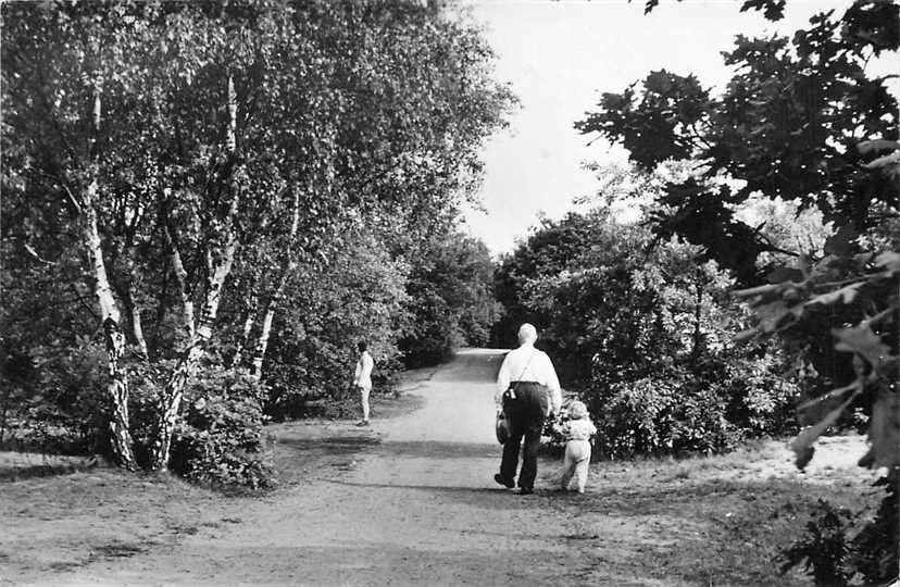 300-161-027 Laren Kampeercentrum De Heidebloem, Verzenden, Voor 1920, Noord-Holland