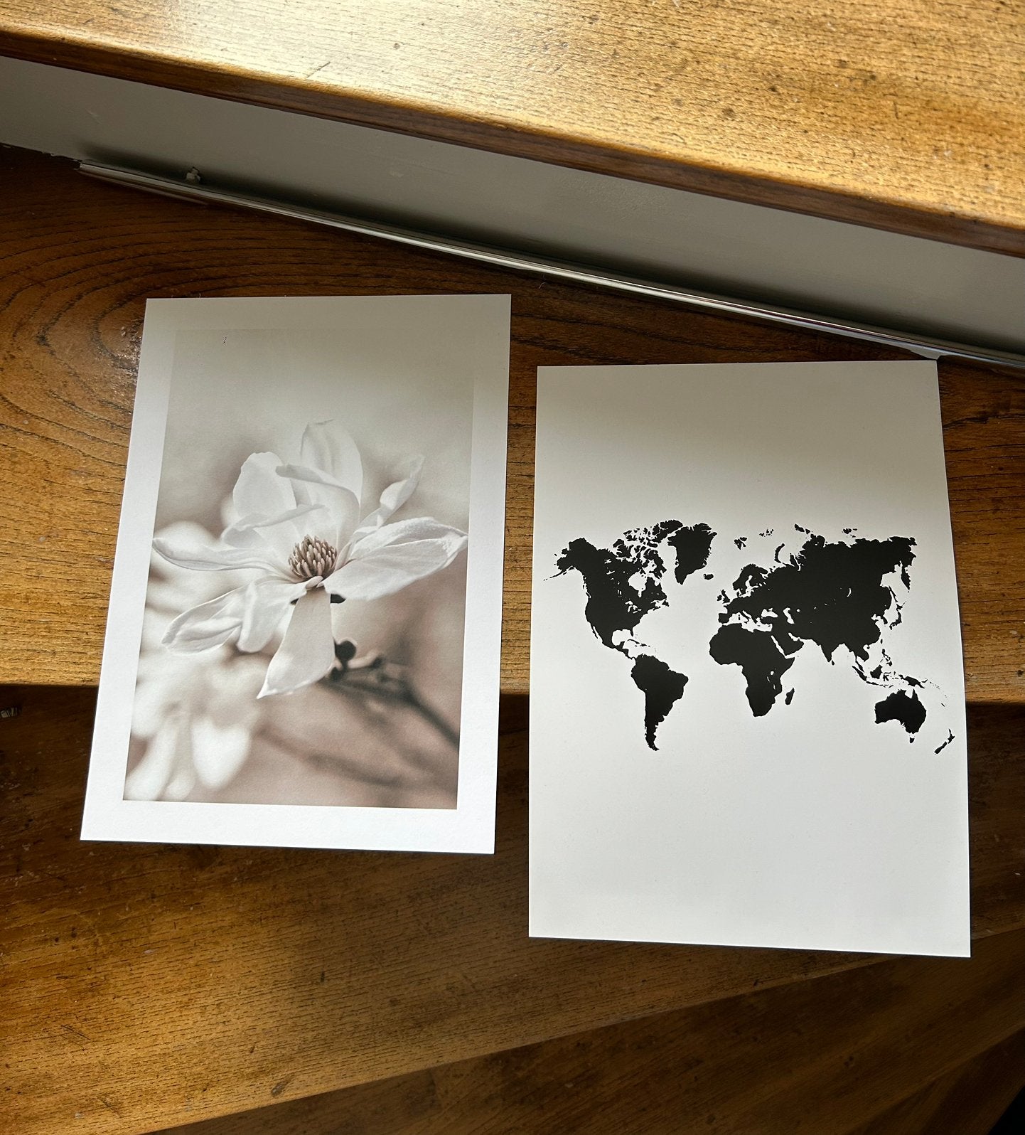 Posters A4 | bloem en wereldkaart, Rechthoekig Staand, Ophalen of Verzenden, Zo goed als nieuw, A1 t/m A3