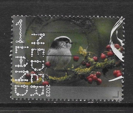 2023, Oisterwijk Staartmees [4145] (K2518), Ophalen of Verzenden