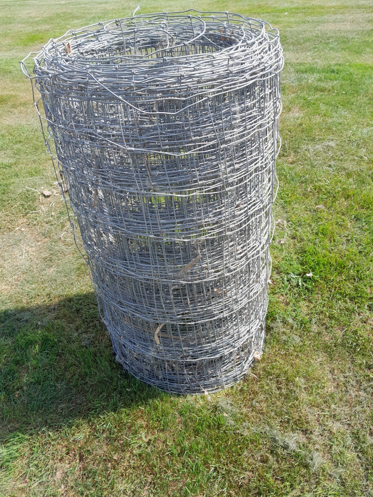 SCHAPENGAAS, Tuin en Terras, Ophalen, Zo goed als nieuw, 20 meter of meer