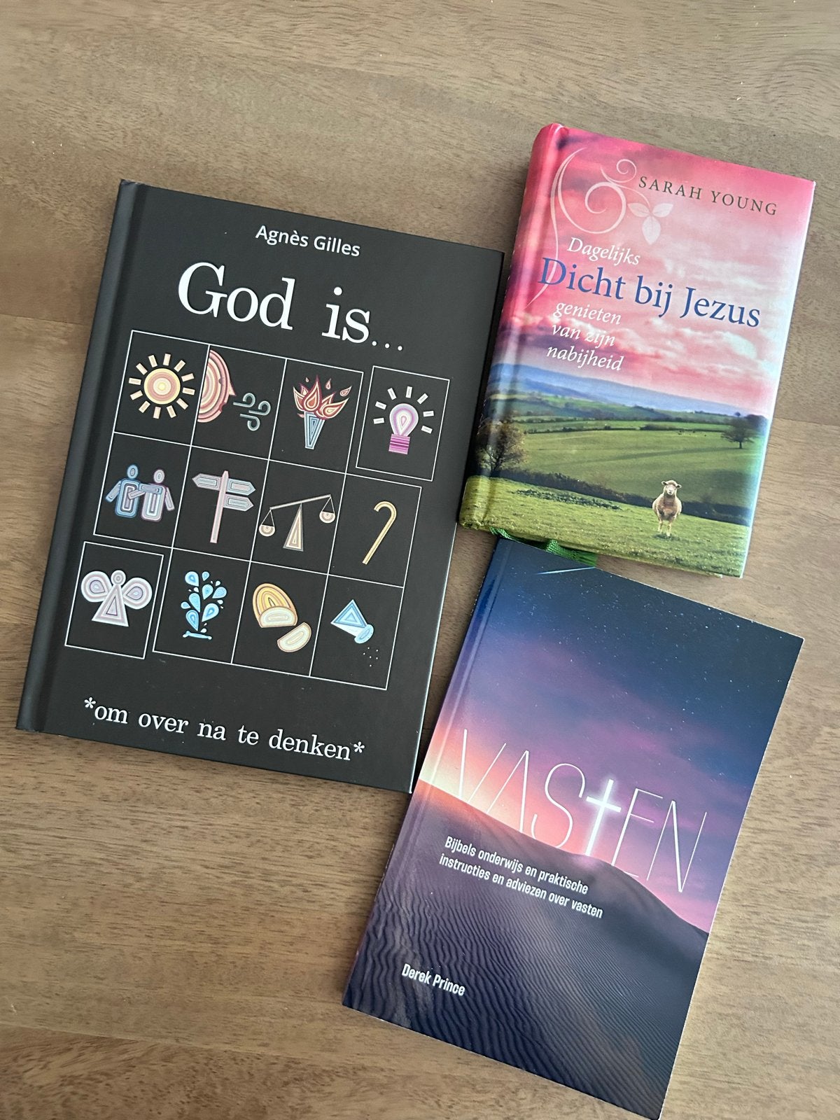 Christelijk boekenpakket: Young, Prince & Gilles, Boeken, Ophalen, Zo goed als nieuw, Christendom | Protestants