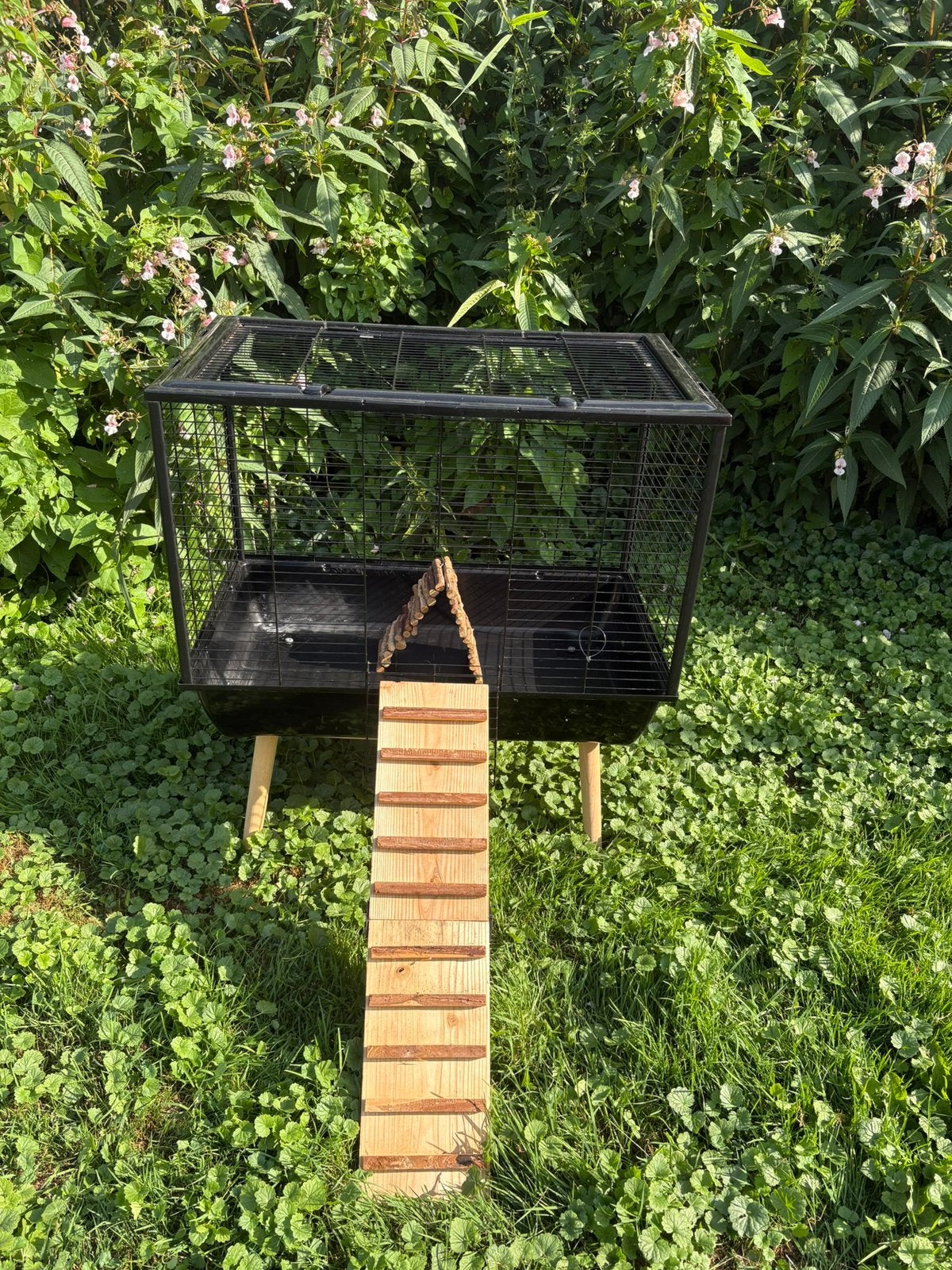 Mooi groot cavia/konijnenhok op poten, zwart 75x50cm, Dieren en Toebehoren, Ophalen, 60 tot 90 cm, Zo goed als nieuw, Hok