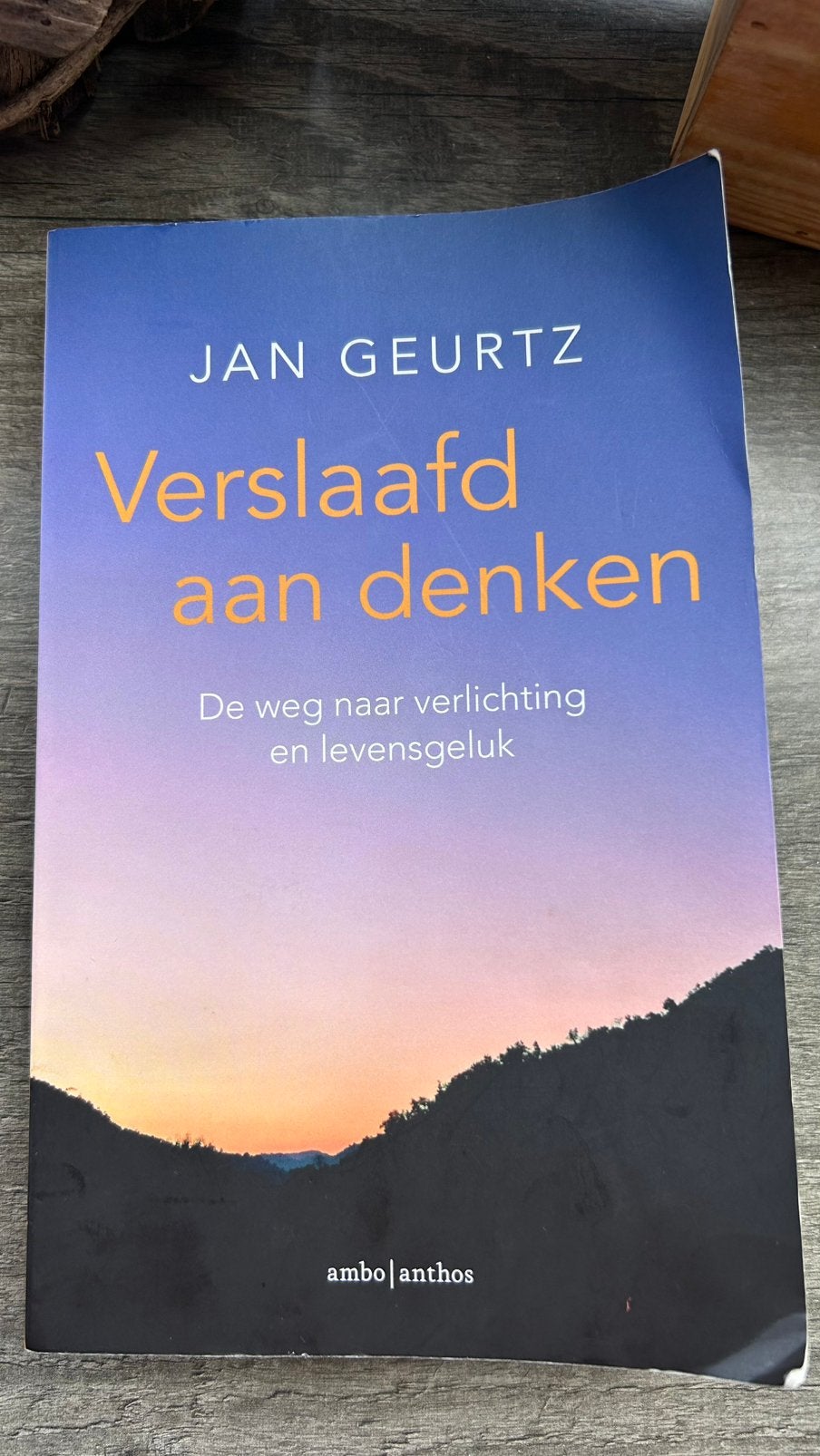 Boek: Jan Geurtz: Verslaafd aan denken, Ophalen of Verzenden, Zo goed als nieuw