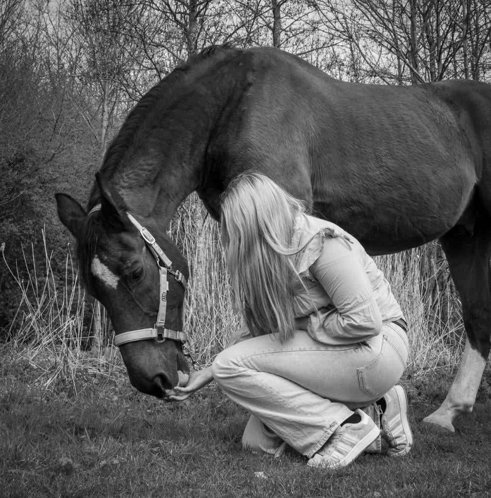 Verzorger/bijrijder aangeboden, Dieren en Toebehoren, Paarden en Pony's | Verzorgingsproducten, Ophalen of Verzenden, Nieuw