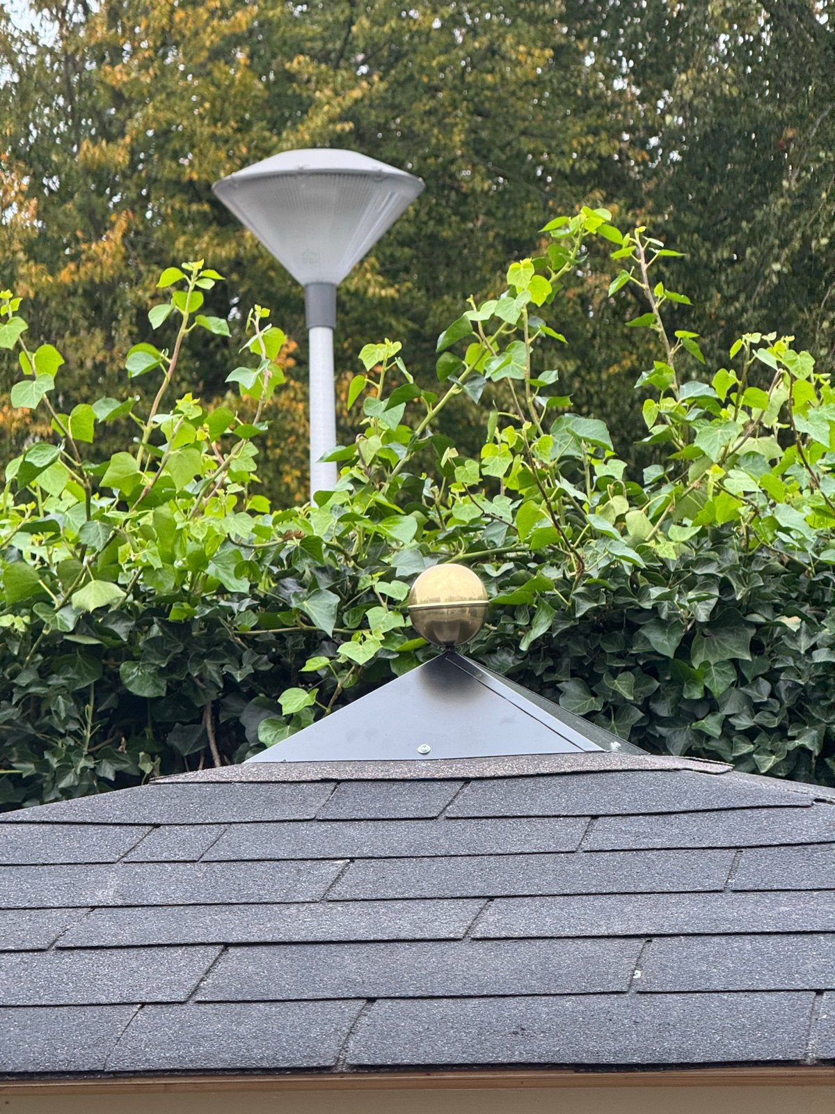 Zwarte dakshingles voor tuinhuis of overkapping, Ophalen, Overige materialen, Zwart, Overige typen