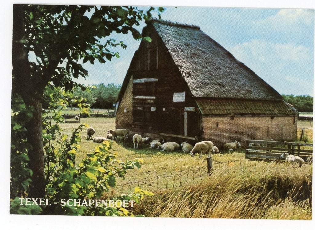 Texel, Verzenden, Voor 1920, Ongelopen, Waddeneilanden