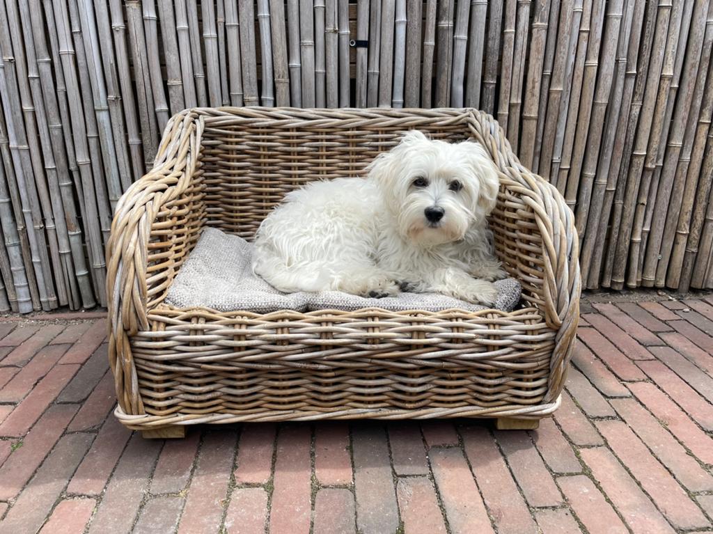 Rotan hondenmand EXCL hond ️, Dieren en Toebehoren, Ophalen, Zo goed als nieuw, Riet