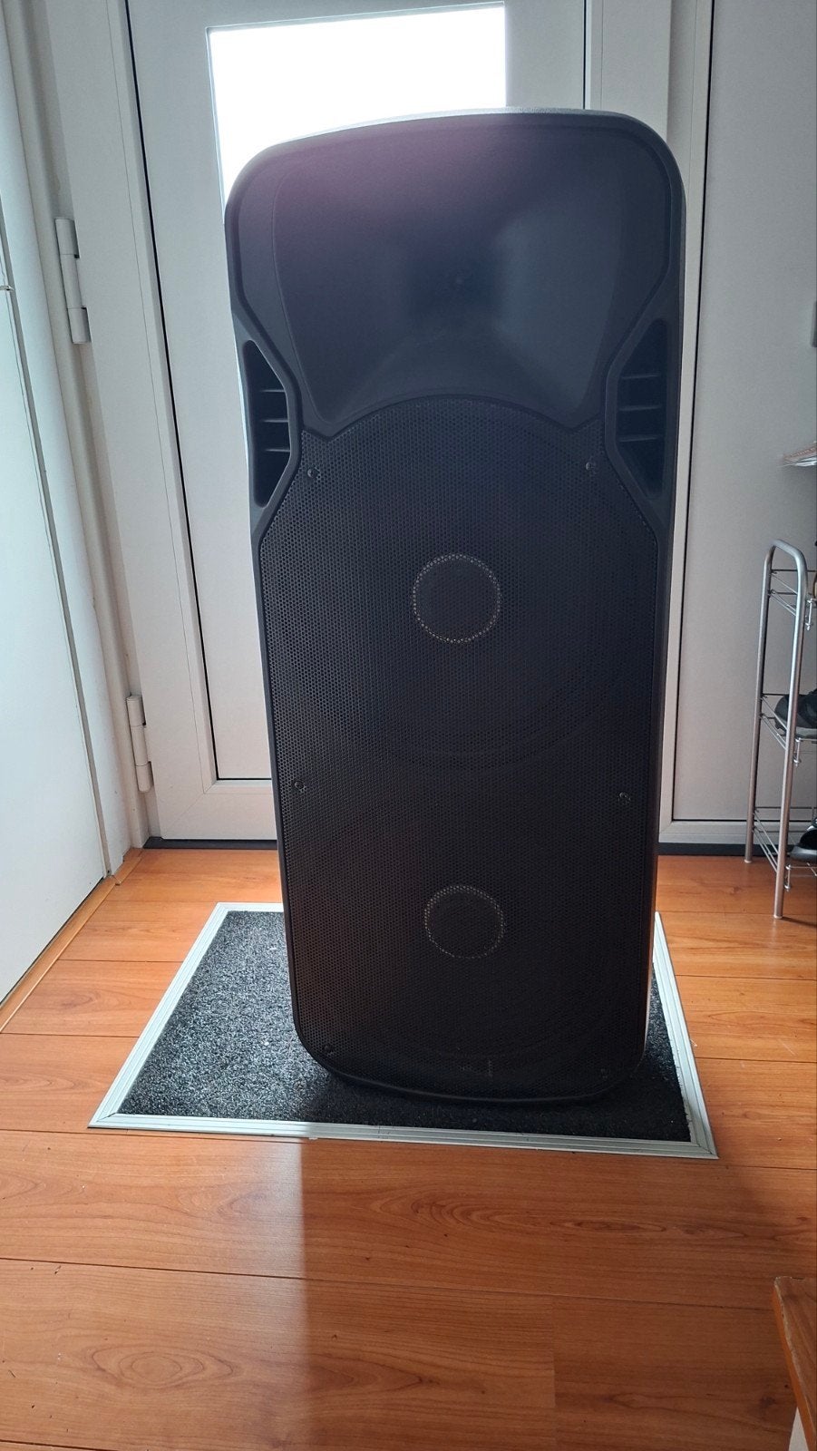 Fenton FT215LED Party Speaker bluetooth 2 mics, Ophalen, Gebruikt, Complete set