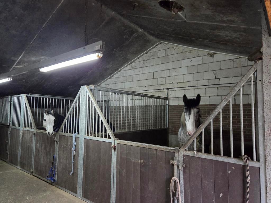 Stalling beschikbaar met weidegang voor pony of paard., Weidegang