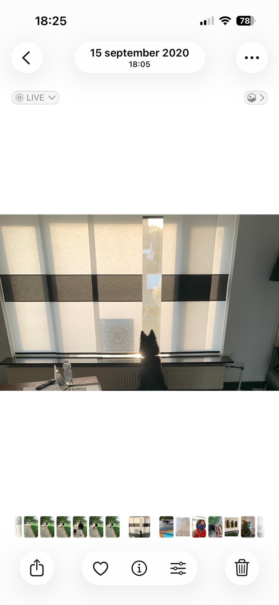 Moderne Paneelgordijnen Wit/Zwart 2,58m met Rail, Gebruikt, 153 cm, Zwart, Overige typen