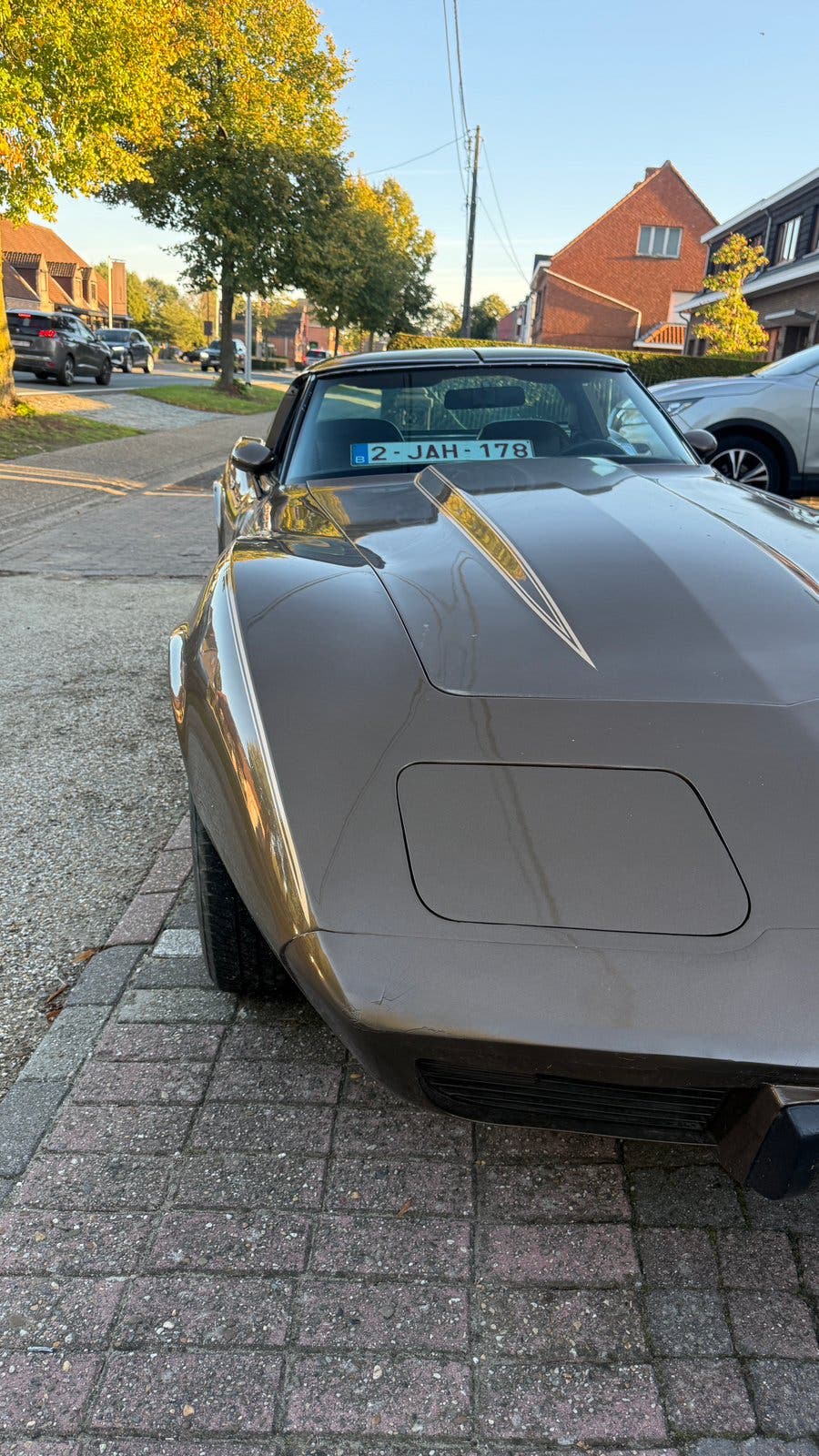 Corvette c3 te koop, foto 5