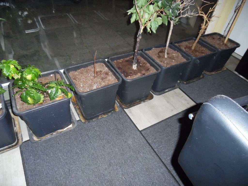 planten bakken Gratis., Tuin en Terras, Ophalen, Kunststof, Gebruikt, Vierkant