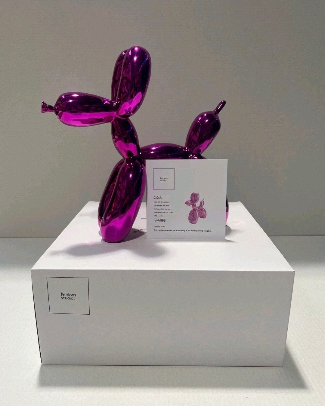 Balloon Dog Jeff Koons (After), Ophalen
