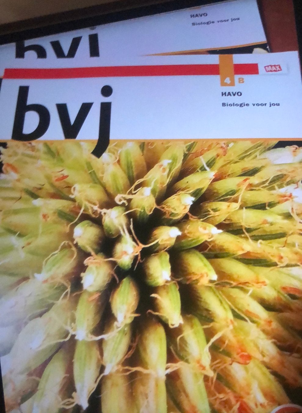 Bvj Biologie 4B Havo, Ophalen, Zo goed als nieuw, Natuur algemeen