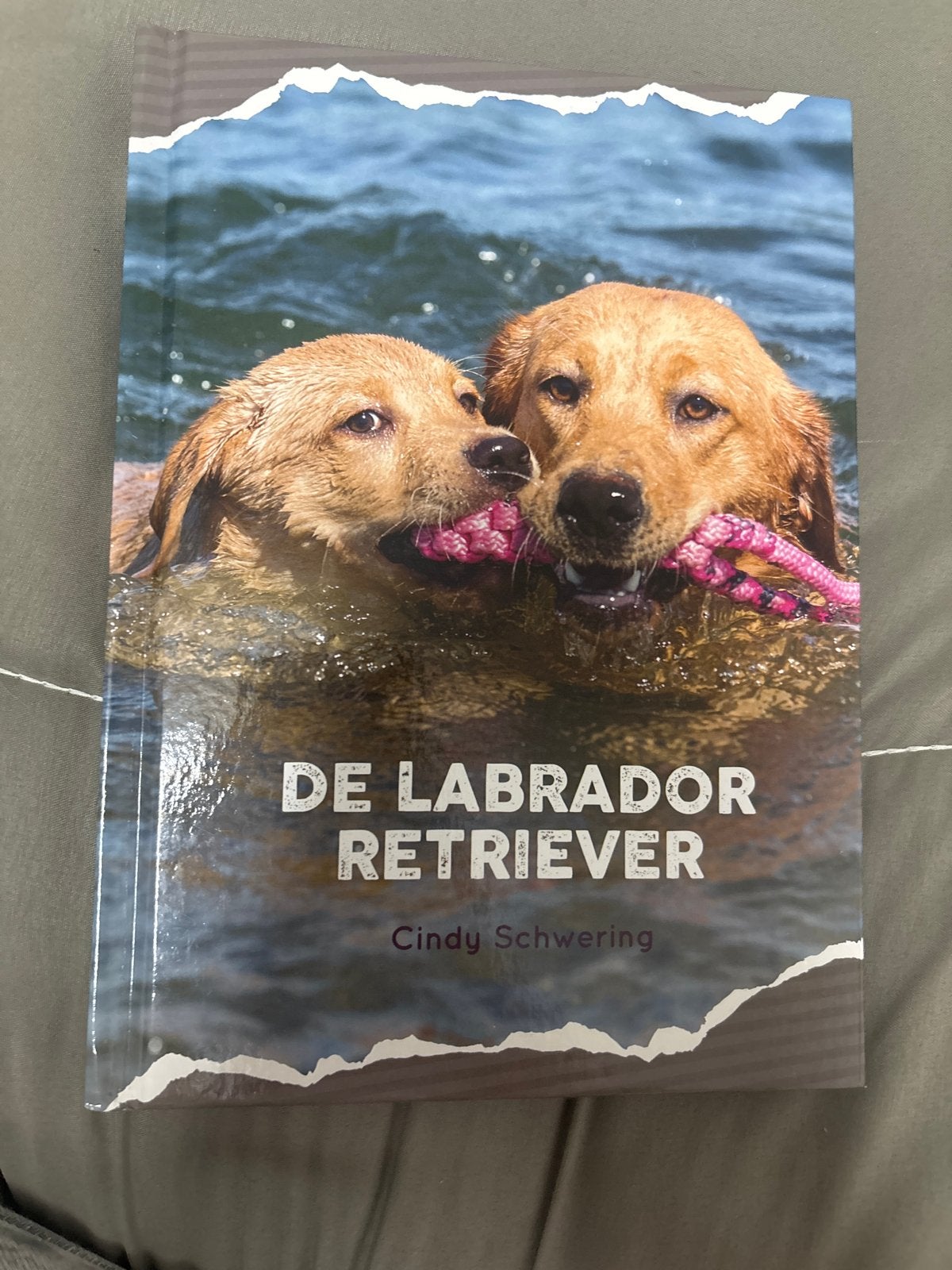 De Labrador Retriever - Cindy Schwering (Boek), Ophalen of Verzenden, Zo goed als nieuw, Honden
