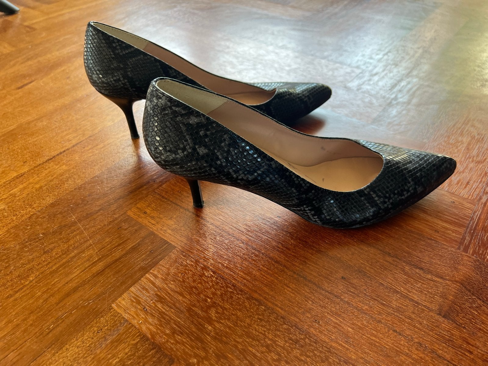 Stijlvolle Giulia pumps met slangenprint, maat 44, Verzenden, Zo goed als nieuw, Pumps