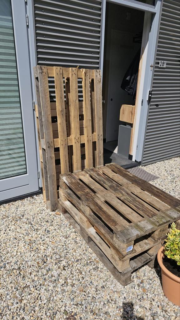 Pallets gratis af te halen, Ophalen, Overige houtsoorten, Minder dan 200 cm, Pallet