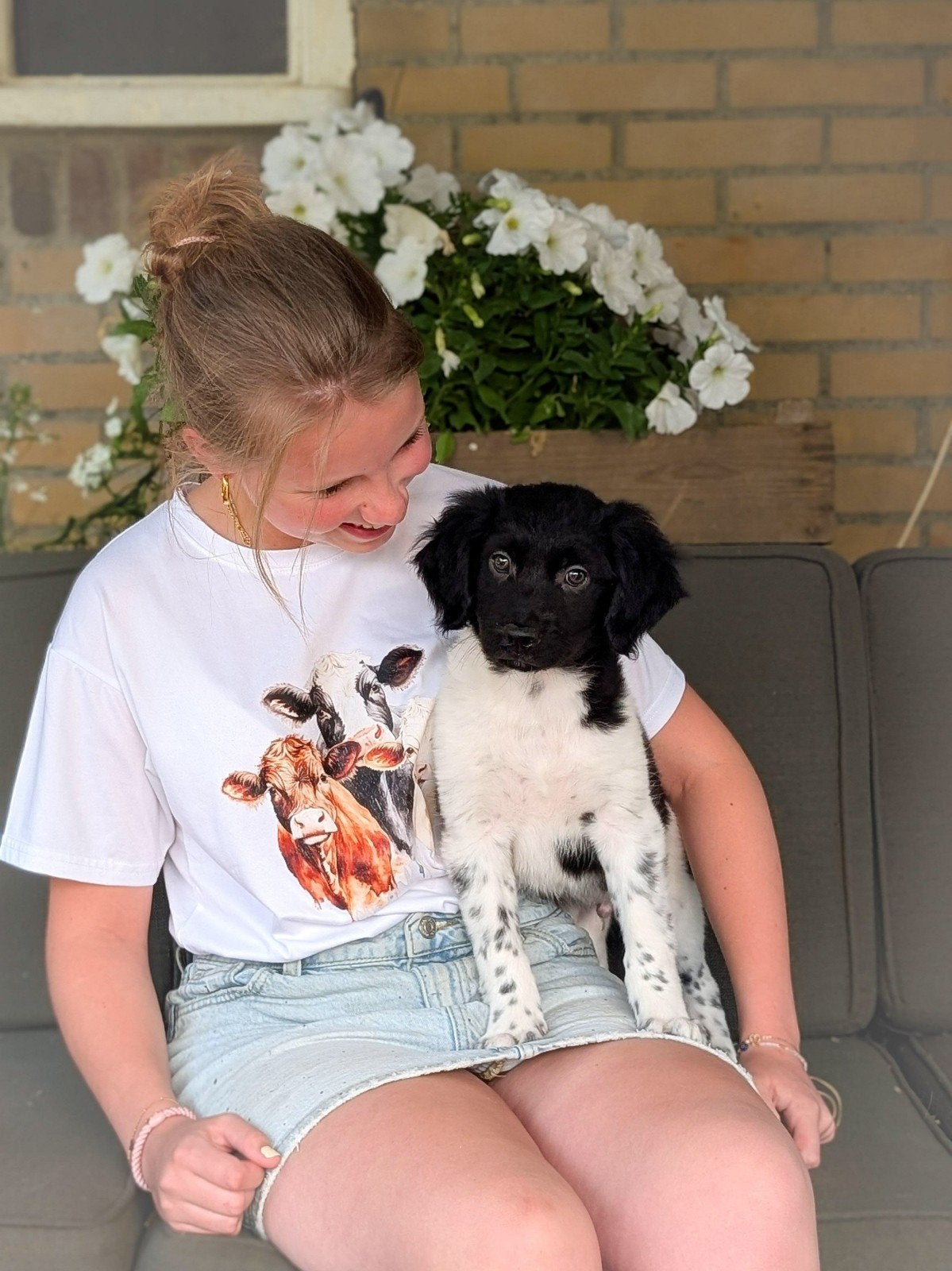 Raszuivere Friese Stabij pups zoeken zorgzame baasjes, Parvo, Overige rassen, 8 tot 15 weken, Meerdere