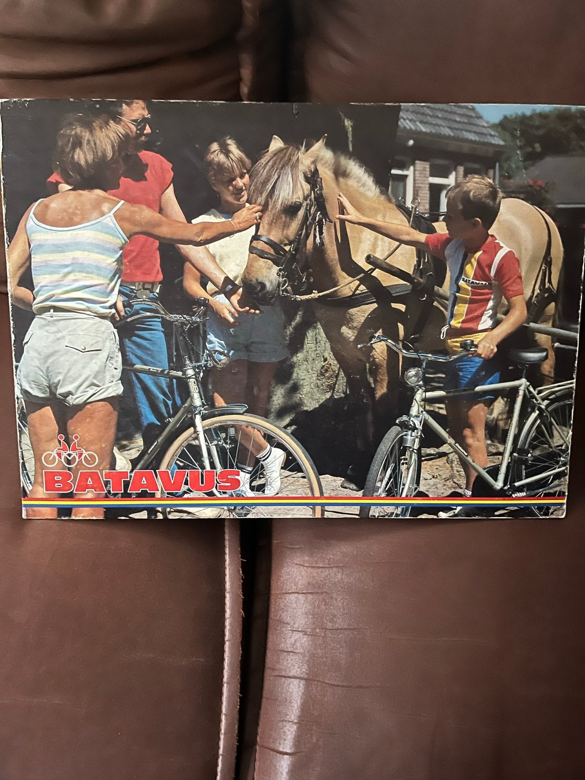 Vintage Batavus Fietsen reclamebord  - Jaren '70, Ophalen of Verzenden, Gelezen