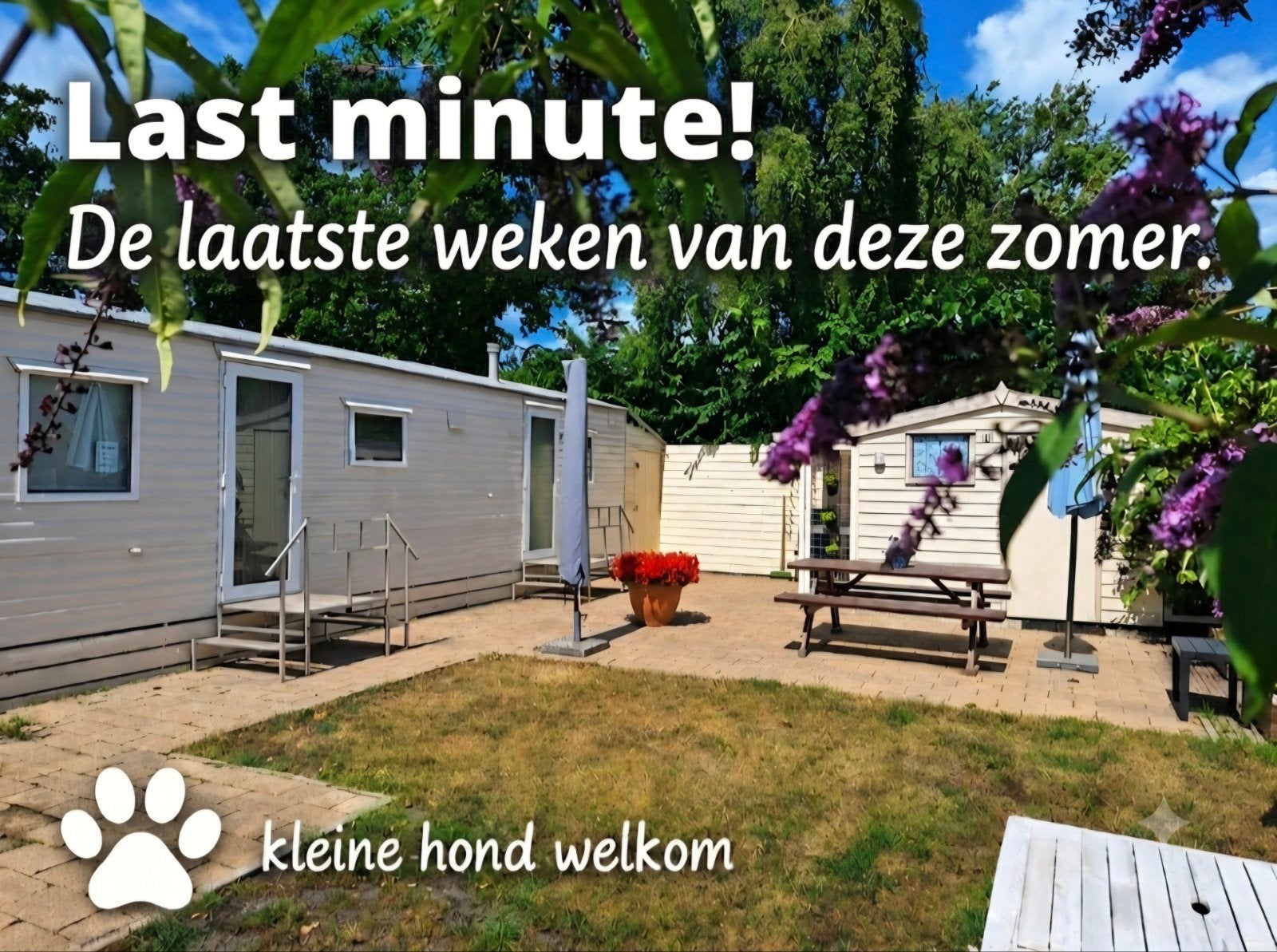 LAST MINUTE! Stacaravan/chalet te huur/huren Callantsoog