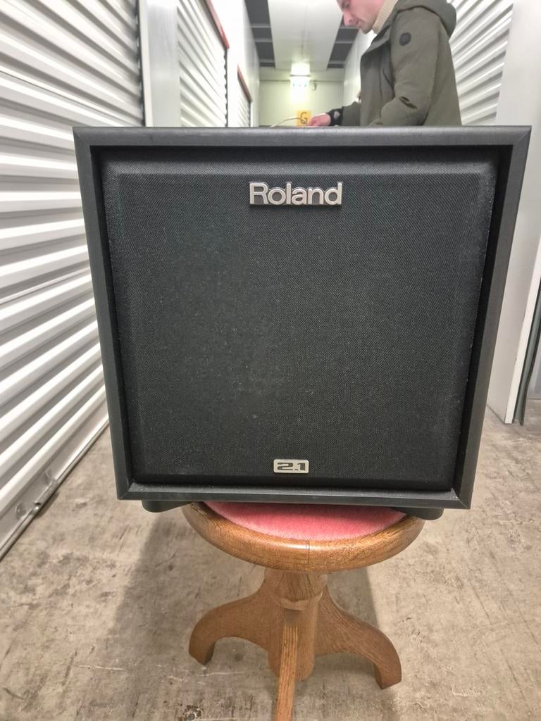Roland CM-30 Cube Monitor - Compacte PA/Monitor Speaker, Ophalen, Gebruikt
