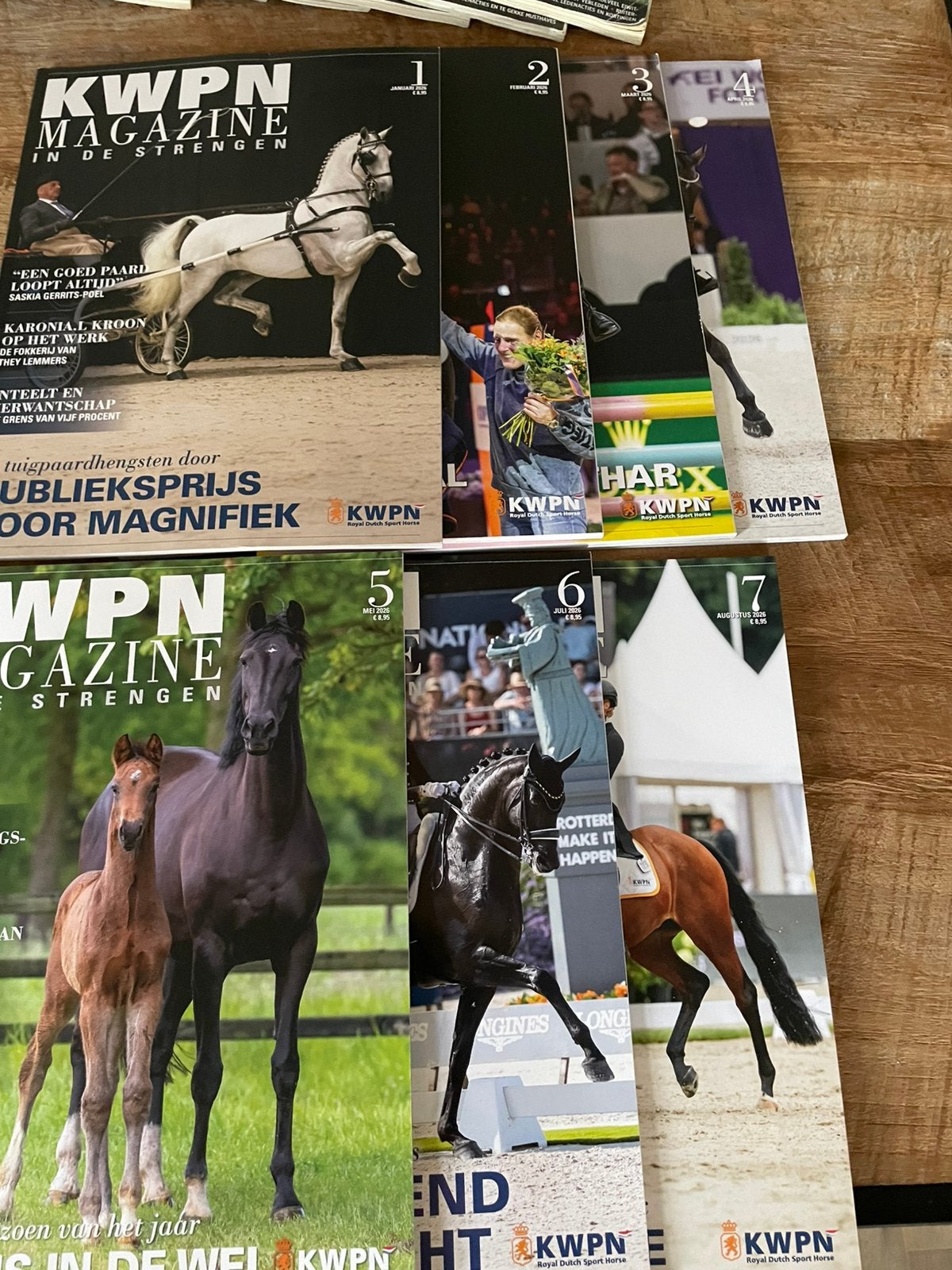 7 x KWPN 2026, Ophalen of Verzenden, Nieuw, Sport en Vrije tijd