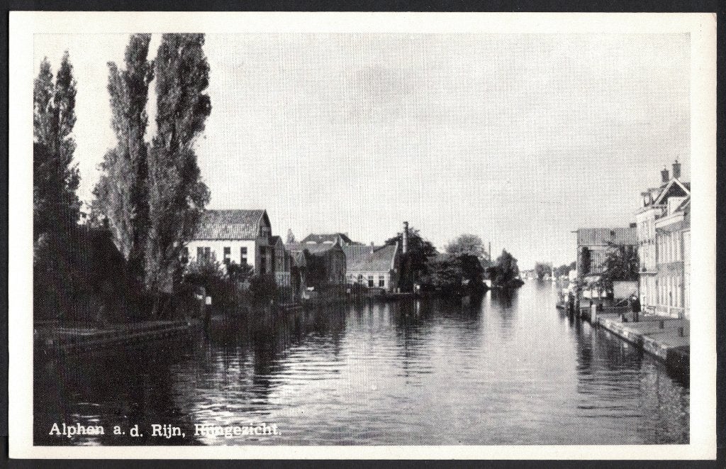 Alphen a. d. Rijn, Rijngezicht., Ophalen of Verzenden, 1940 tot 1960, Ongelopen, Zuid-Holland