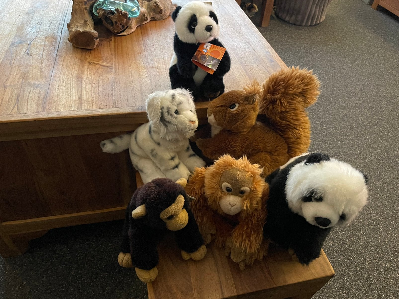 6 mooie WWF knuffels panda aap eekhoorn witte tijger, Gebruikt, Beer, Ophalen of Verzenden, Middelgroot (20 tot 80 cm)
