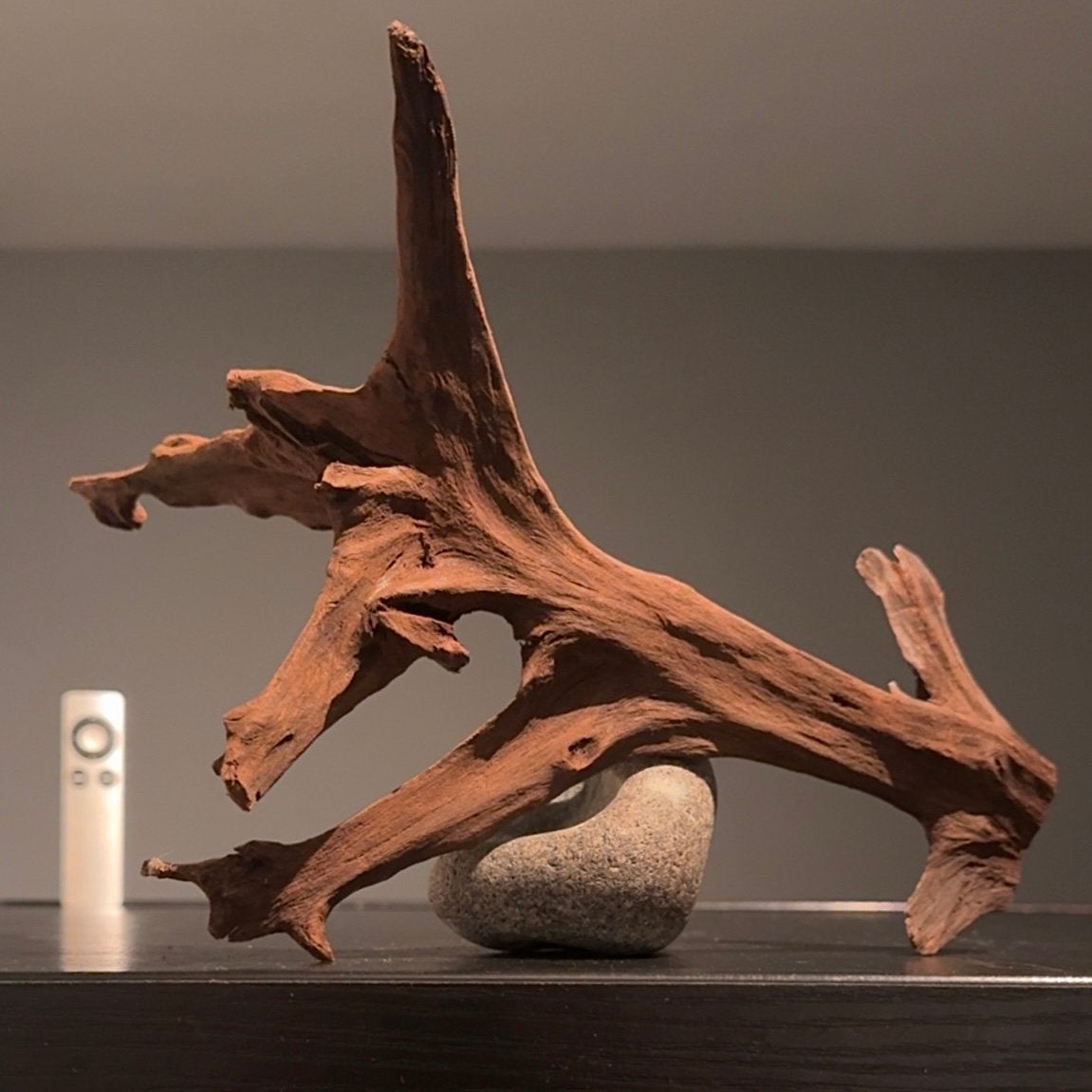 Mooi stuk Kienhout / Spiderwood / Driftwood, Hout Decoratie, Ophalen of Verzenden, Zo goed als nieuw, Leeg aquarium