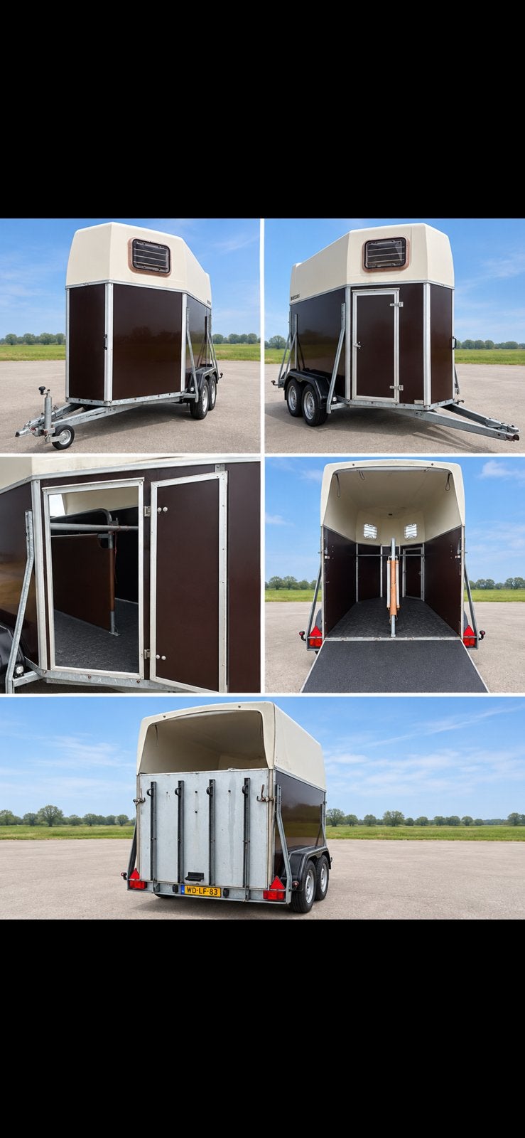 Trailer te koop, Dieren en Toebehoren, Ruin, Dressuurpony, Met stamboom, 3 tot 6 jaar