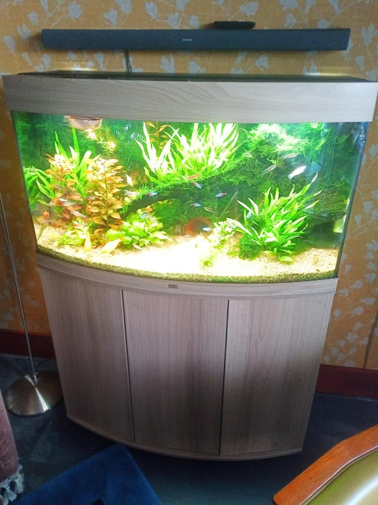 Aquarium juwel 180 vision, Ophalen, Gebruikt, Inclusief vissen, Gevuld zoetwateraquarium
