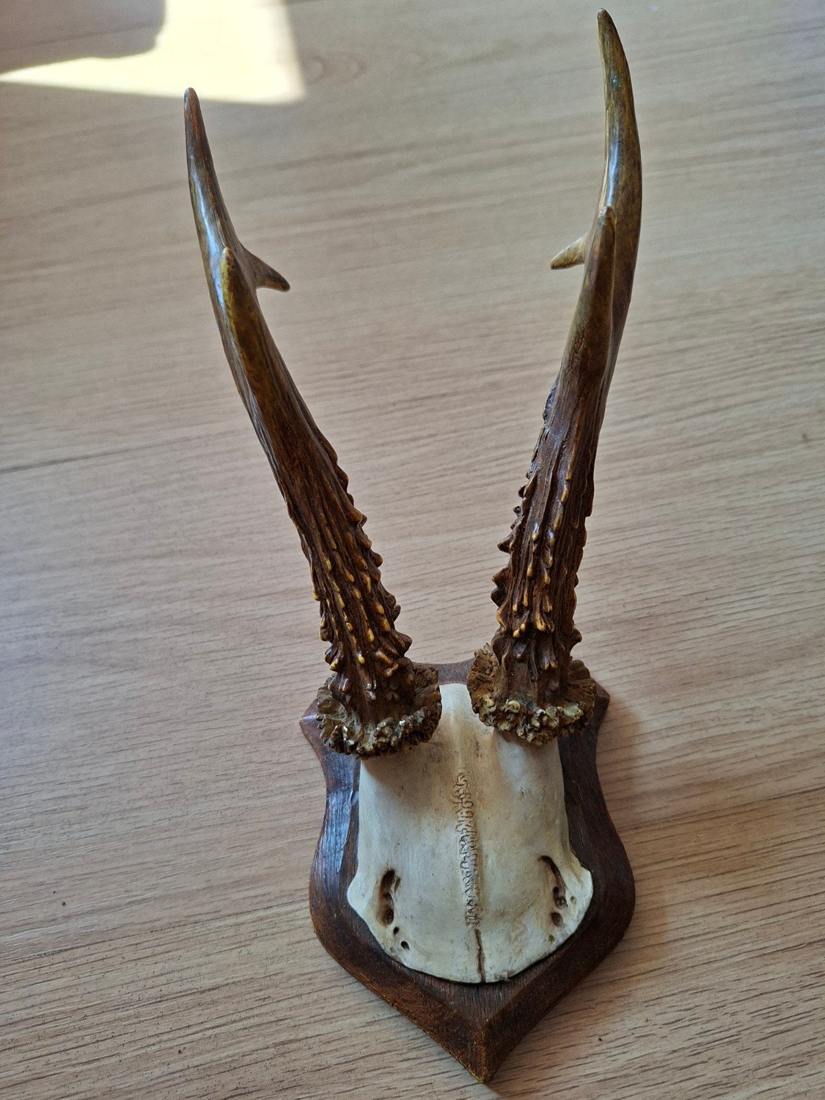 Herten Gewei op Houten Schild - Vintage Decoratie, Verzenden