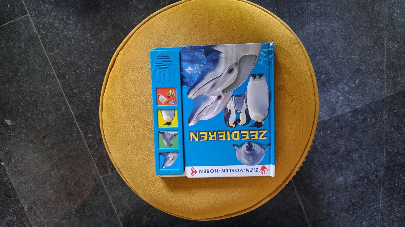 Zien-Voelen-Horen Zeedieren Boek, Ophalen of Verzenden, Zo goed als nieuw, Uitklap-, Voel- of Ontdekboek, 1 tot 2 jaar