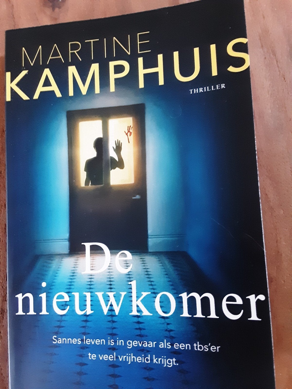 Martine Kamphuis / De Nieuwkomer in nieuwstaat., Ophalen of Verzenden, Zo goed als nieuw