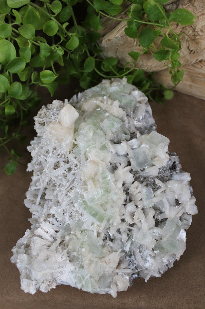 Lichtgroene apofyliet met stilbiet en scoleciet, Ophalen, Mineraal