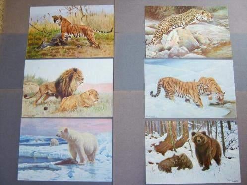 79 Verschillende Oude DIEREN PRENTEN  van F.W. Kuhnert, Natuur, Gebruikt, Ophalen of Verzenden, 1940 tot 1960