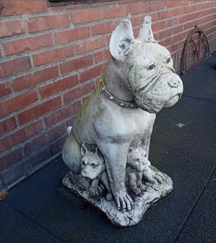 betonnen beeld hond met puppys, Ophalen