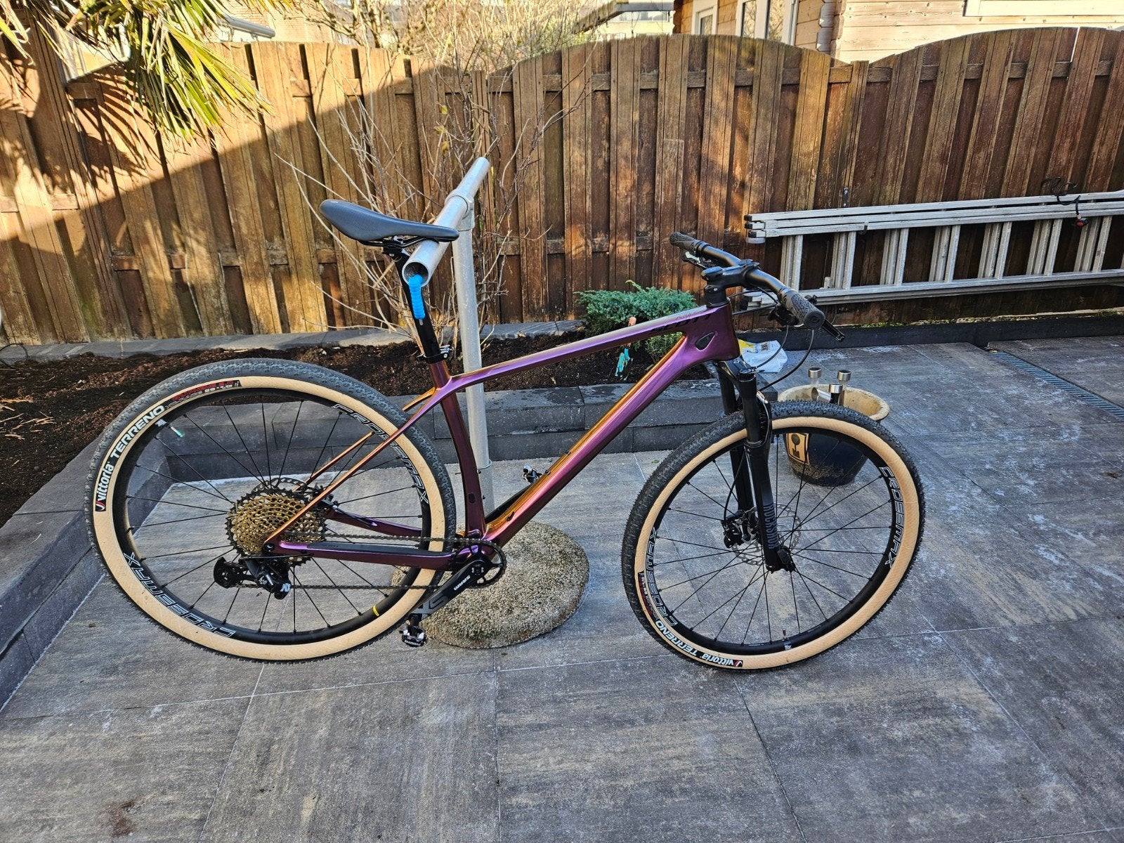Scott scale 920 contessa maat L 2024, Hardtail, Nieuw, 49 tot 53 cm, Schijfrem