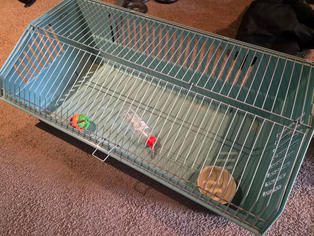 Konijn of cavia binnenkooi binnenverblijf, Ophalen of Verzenden