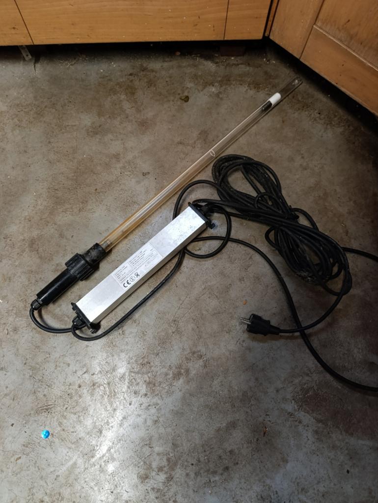 Dompel uv lamp koi vijver, Karper of Koi