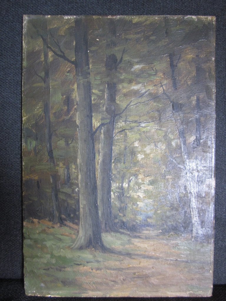 Bosgezicht, Antiek en Kunst, Kunst | Schilderijen | Klassiek, Paneel, Nederlandse school, Ophalen of Verzenden, Landschap