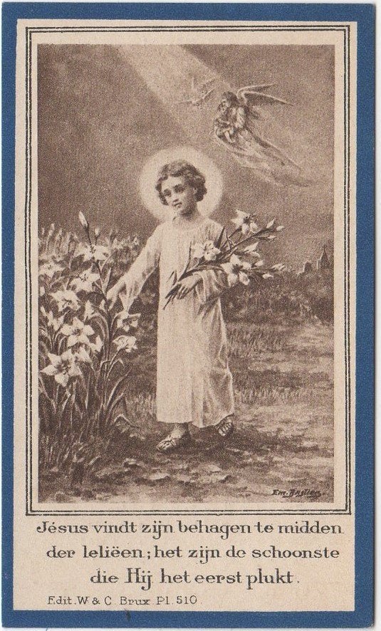 Roger de Vriendt 1931 - 1932 Loochristi, 11 maanden oud, Verzamelen, Verzenden