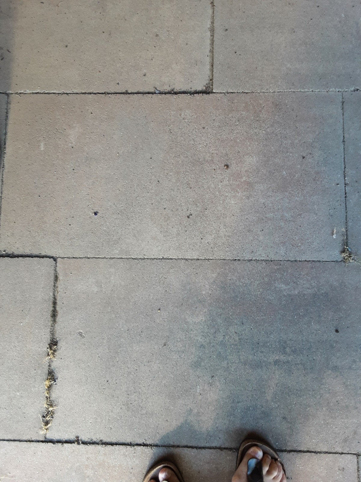 Grijze beige betontegels voor terras of pad, Tuin en Terras, Tegels en Klinkers, Ophalen, Zo goed als nieuw, Minder dan 5 m², Beton