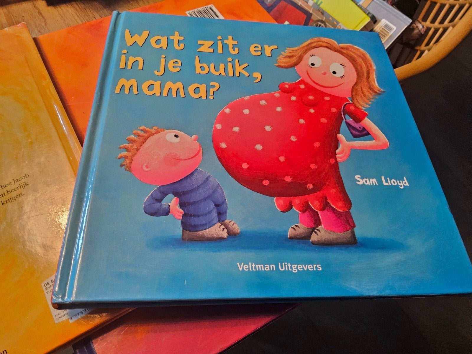 Wat zit er in je buik, mama? - Sam Lloyd flapjesboek, Ophalen of Verzenden, Zo goed als nieuw, Zwangerschap en Bevalling, Sam Lloyd