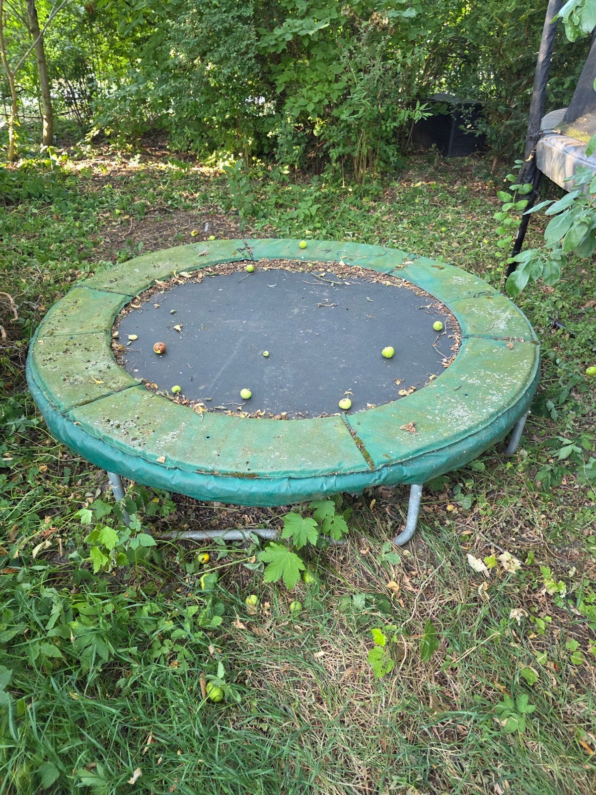 mini trampoline, Ophalen, Gebruikt